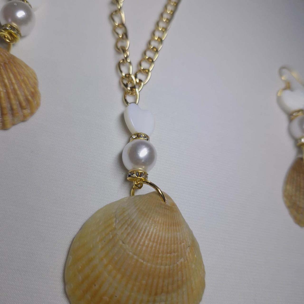 Cockle shell set