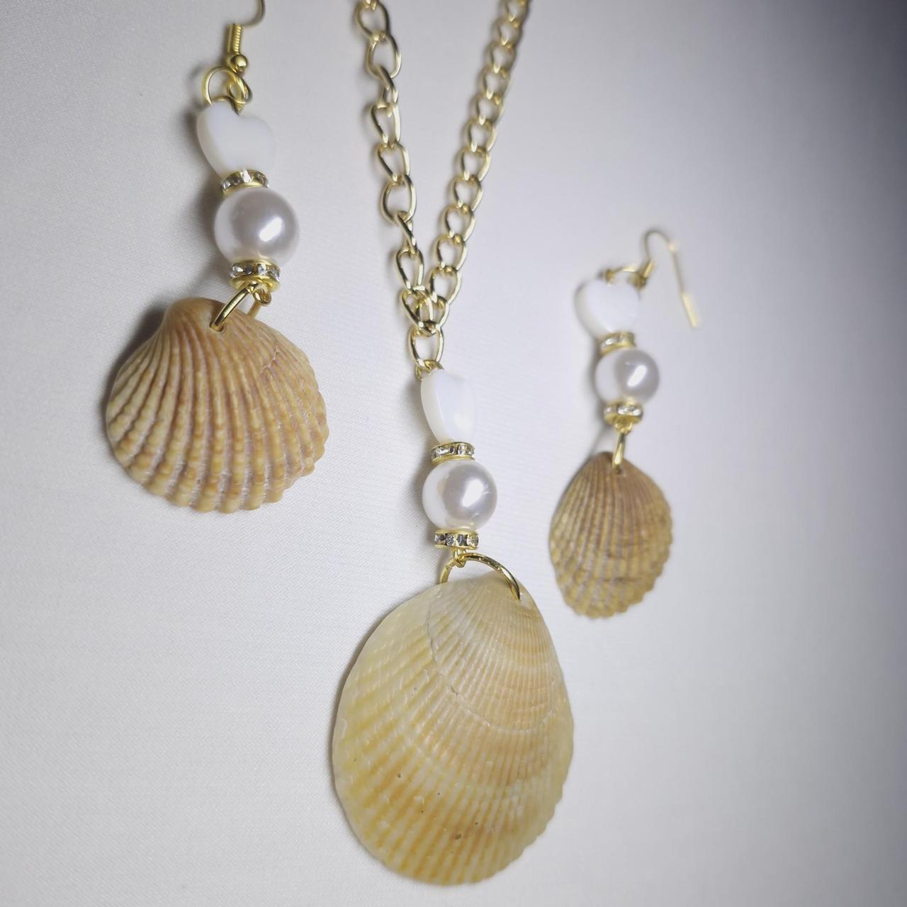 Cockle shell set